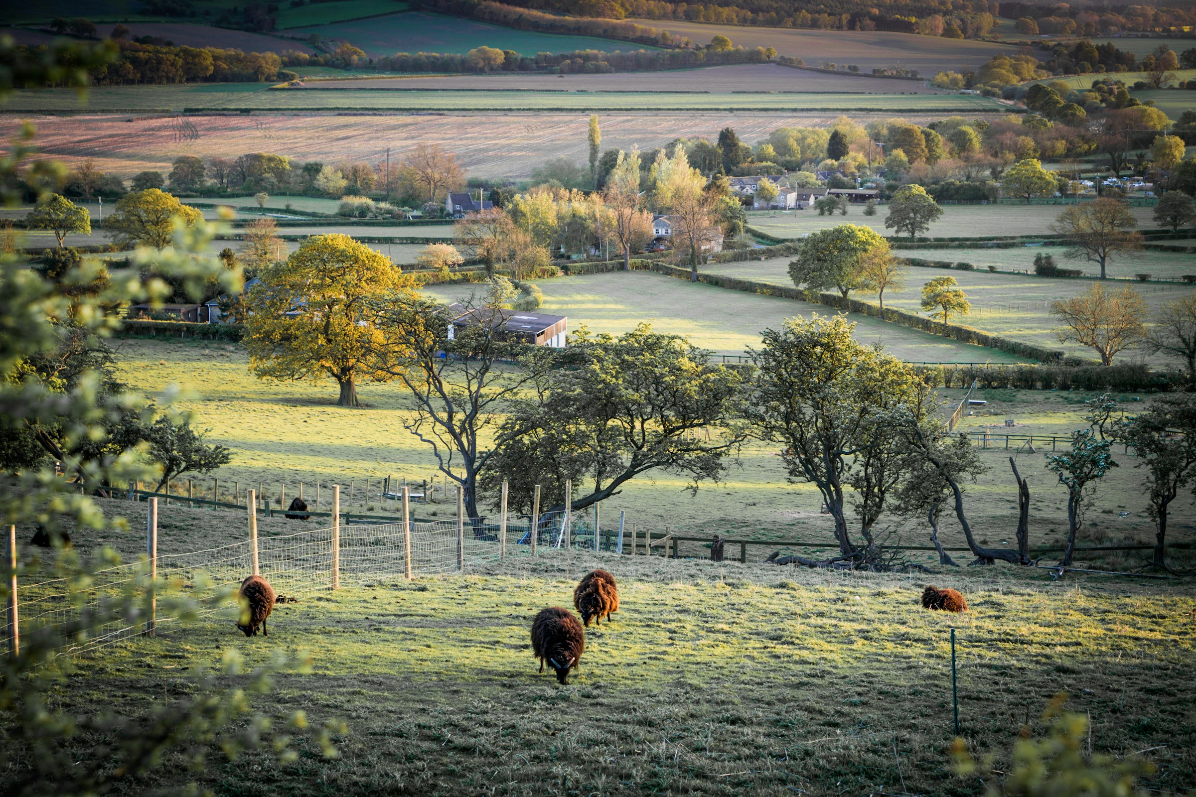Yorkshire countryside
