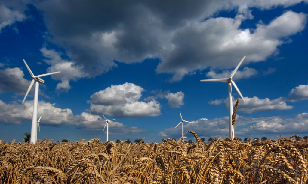 wind farm